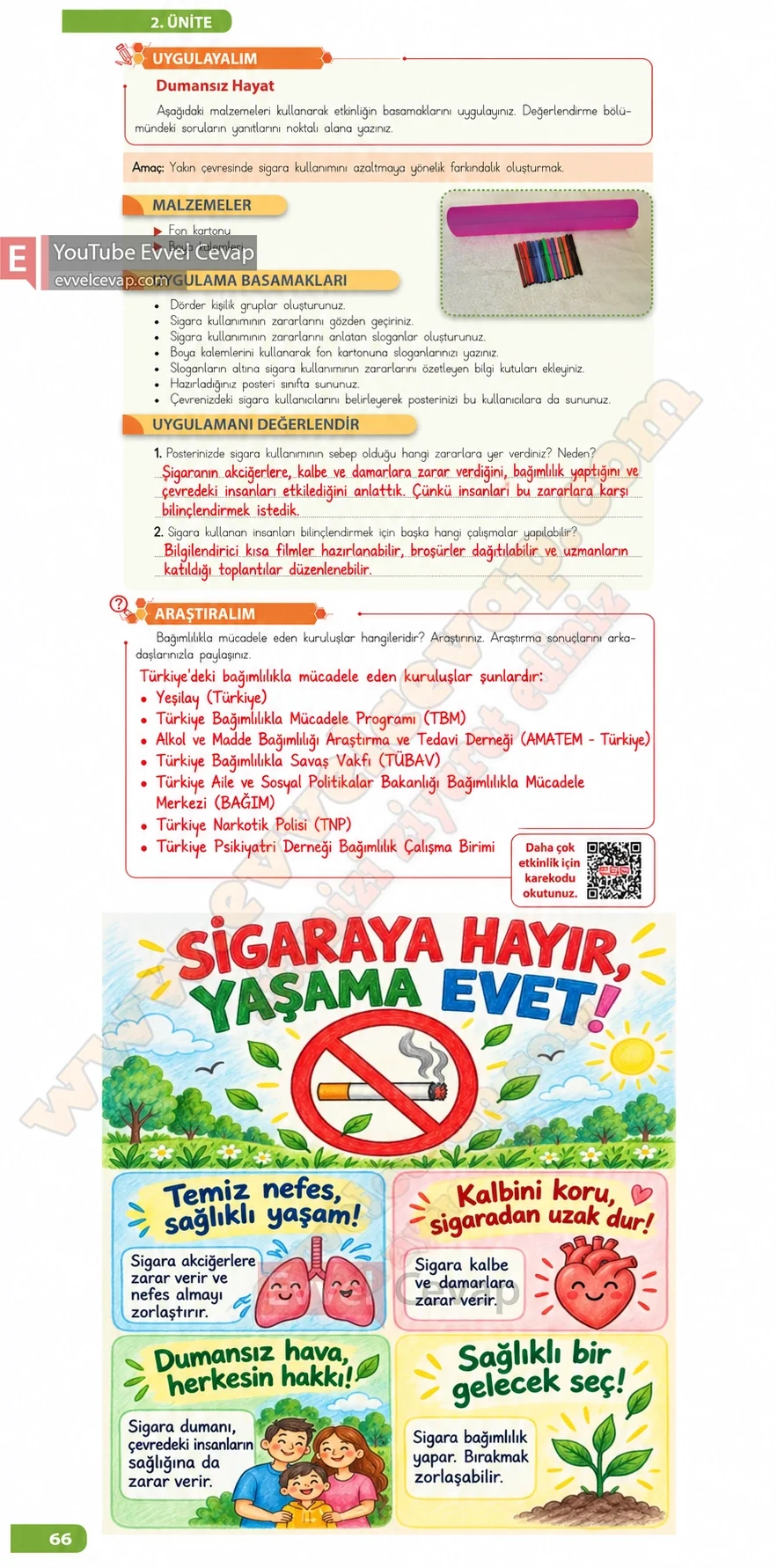 4-sinif-fen-bilimleri-ders-kitabi-sayfa-66-cevaplari-meb-yayinlari-2026-2027