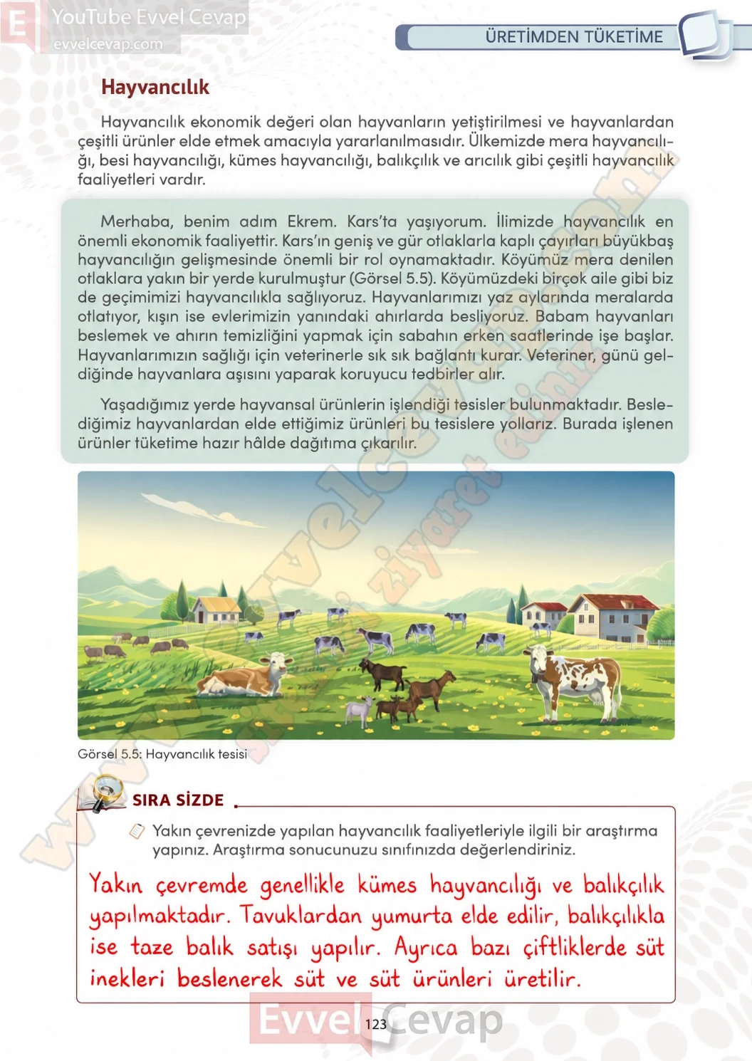 4-sinif-sosyal-bilgiler-ders-kitabi-sayfa-123-cevaplari-meb-yayinlari-2026-2027