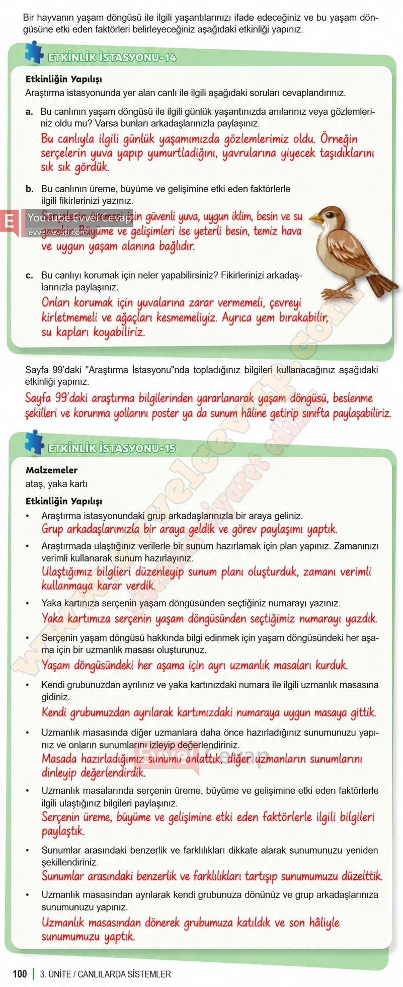 6-sinif-fen-bilimleri-ders-kitabi-sayfa-100-cevaplari-1-kitap-2026-2027