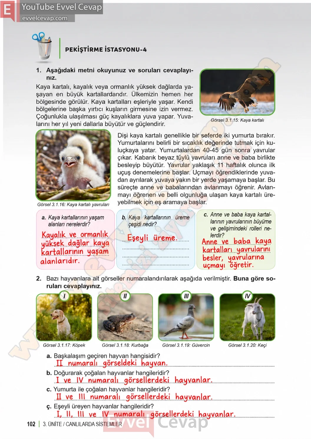 6-sinif-fen-bilimleri-ders-kitabi-sayfa-102-cevaplari-1-kitap-2026-2027