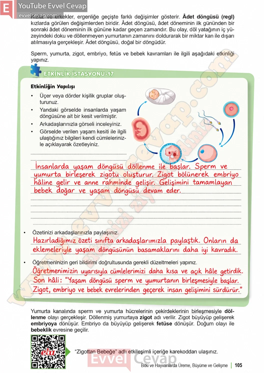 6-sinif-fen-bilimleri-ders-kitabi-sayfa-105-cevaplari-1-kitap-2026-2027