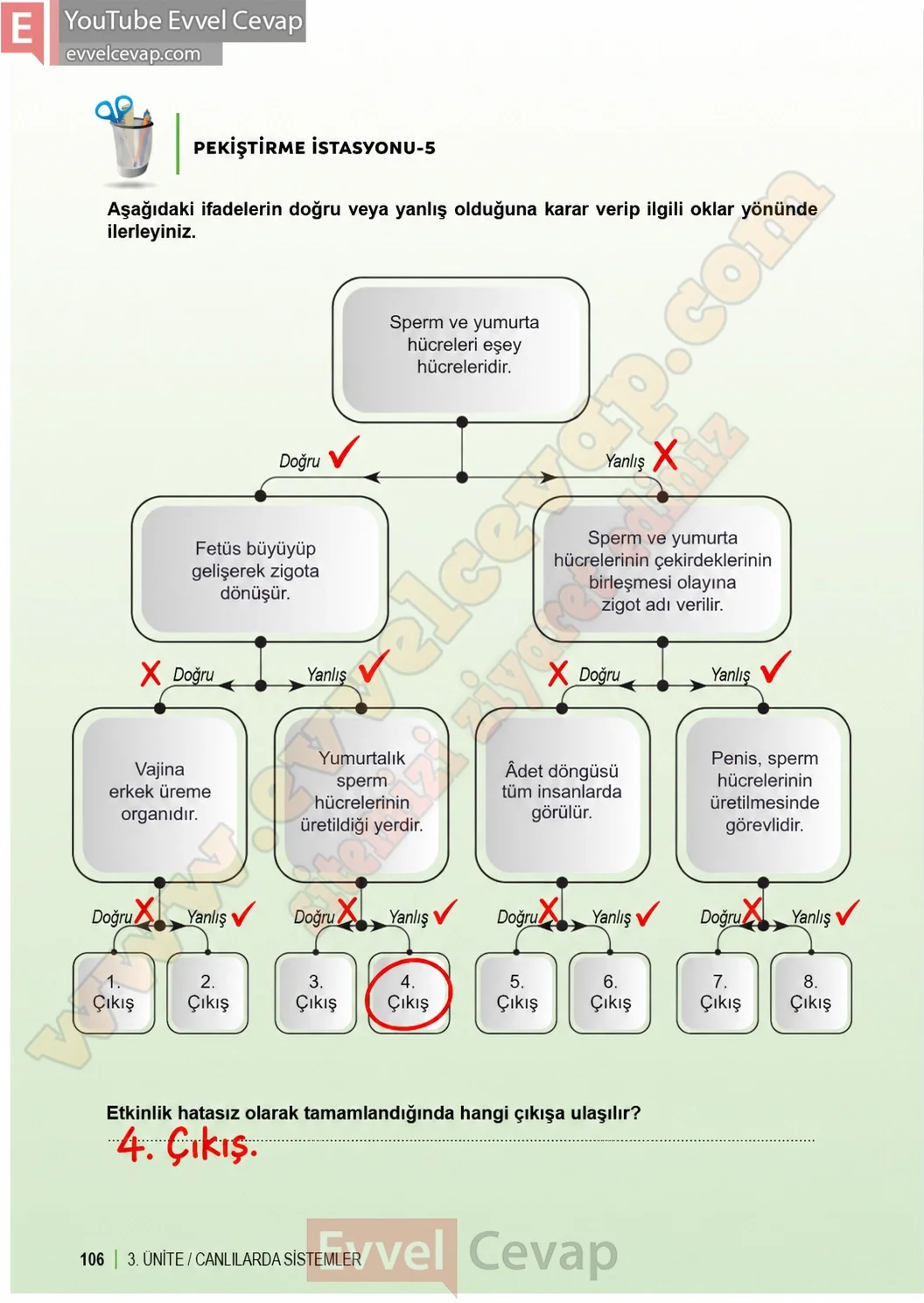 6-sinif-fen-bilimleri-ders-kitabi-sayfa-106-cevaplari-1-kitap-2026-2027