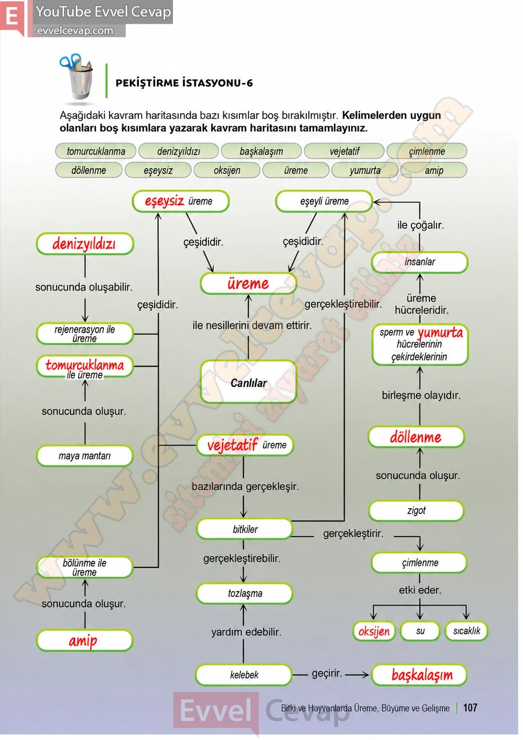 6-sinif-fen-bilimleri-ders-kitabi-sayfa-107-cevaplari-1-kitap-2026-2027