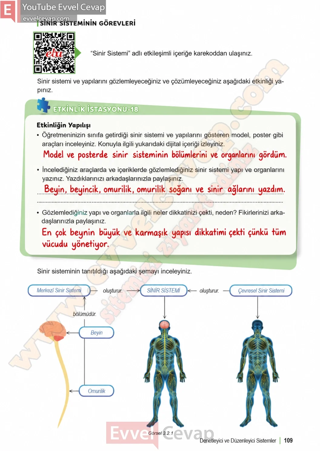 6-sinif-fen-bilimleri-ders-kitabi-sayfa-109-cevaplari-1-kitap-2026-2027