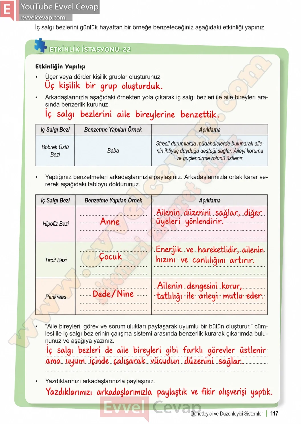 6-sinif-fen-bilimleri-ders-kitabi-sayfa-117-cevaplari-1-kitap-2026-2027