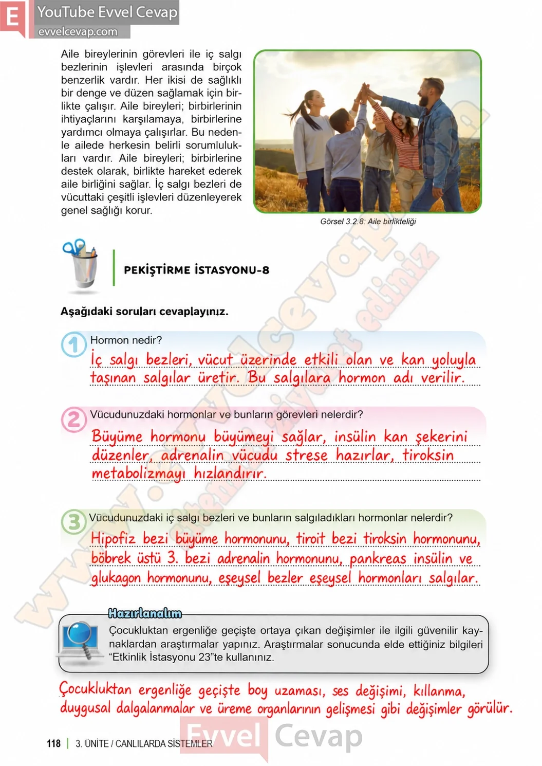6-sinif-fen-bilimleri-ders-kitabi-sayfa-118-cevaplari-1-kitap-2026-2027