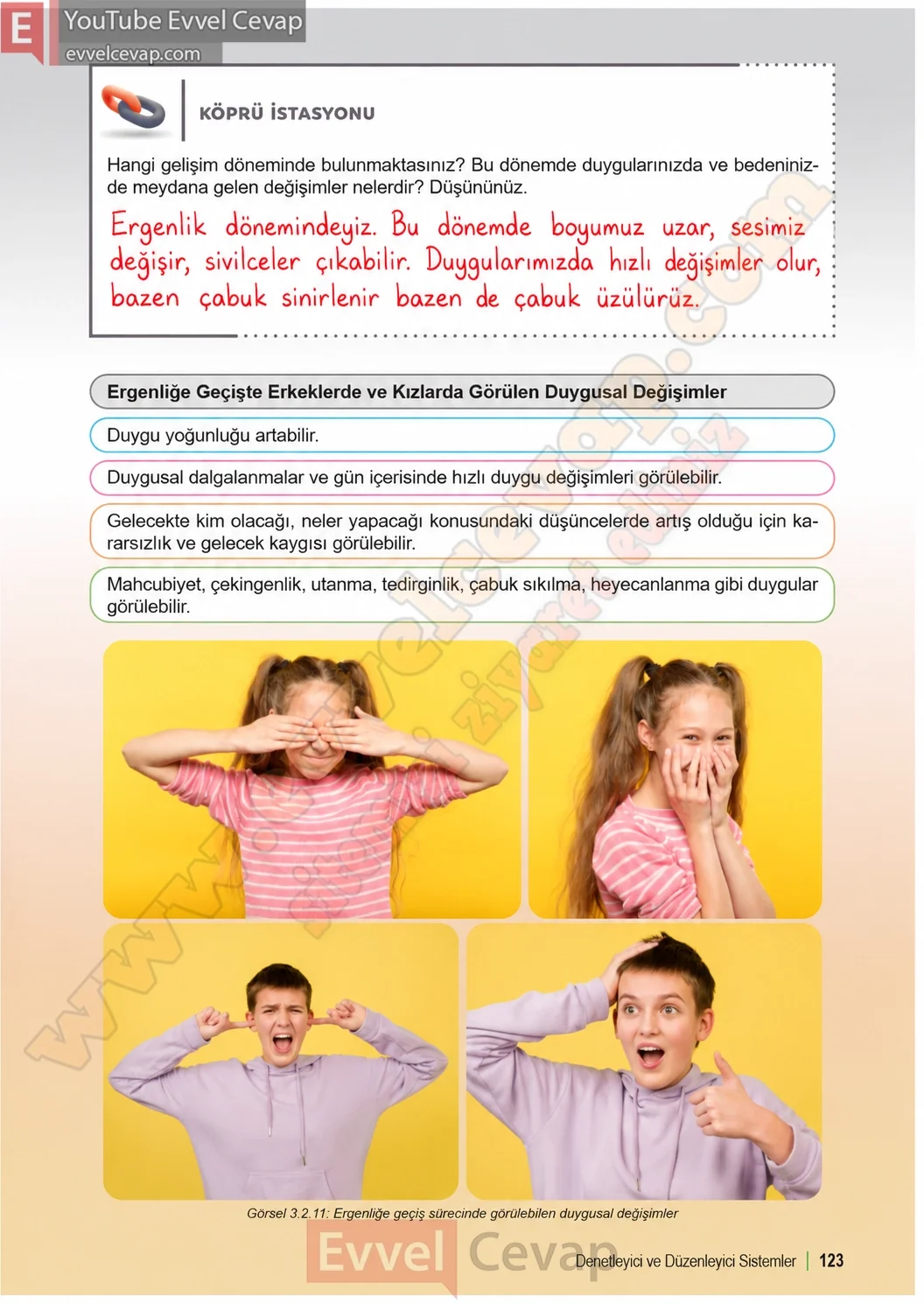 6-sinif-fen-bilimleri-ders-kitabi-sayfa-123-cevaplari-1-kitap-2026-2027