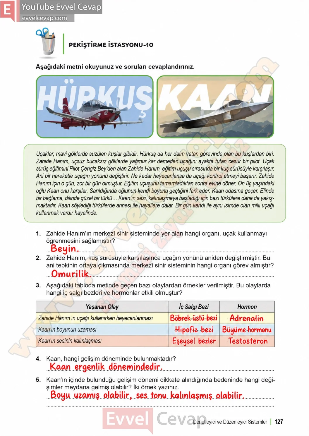6-sinif-fen-bilimleri-ders-kitabi-sayfa-127-cevaplari-1-kitap-2026-2027