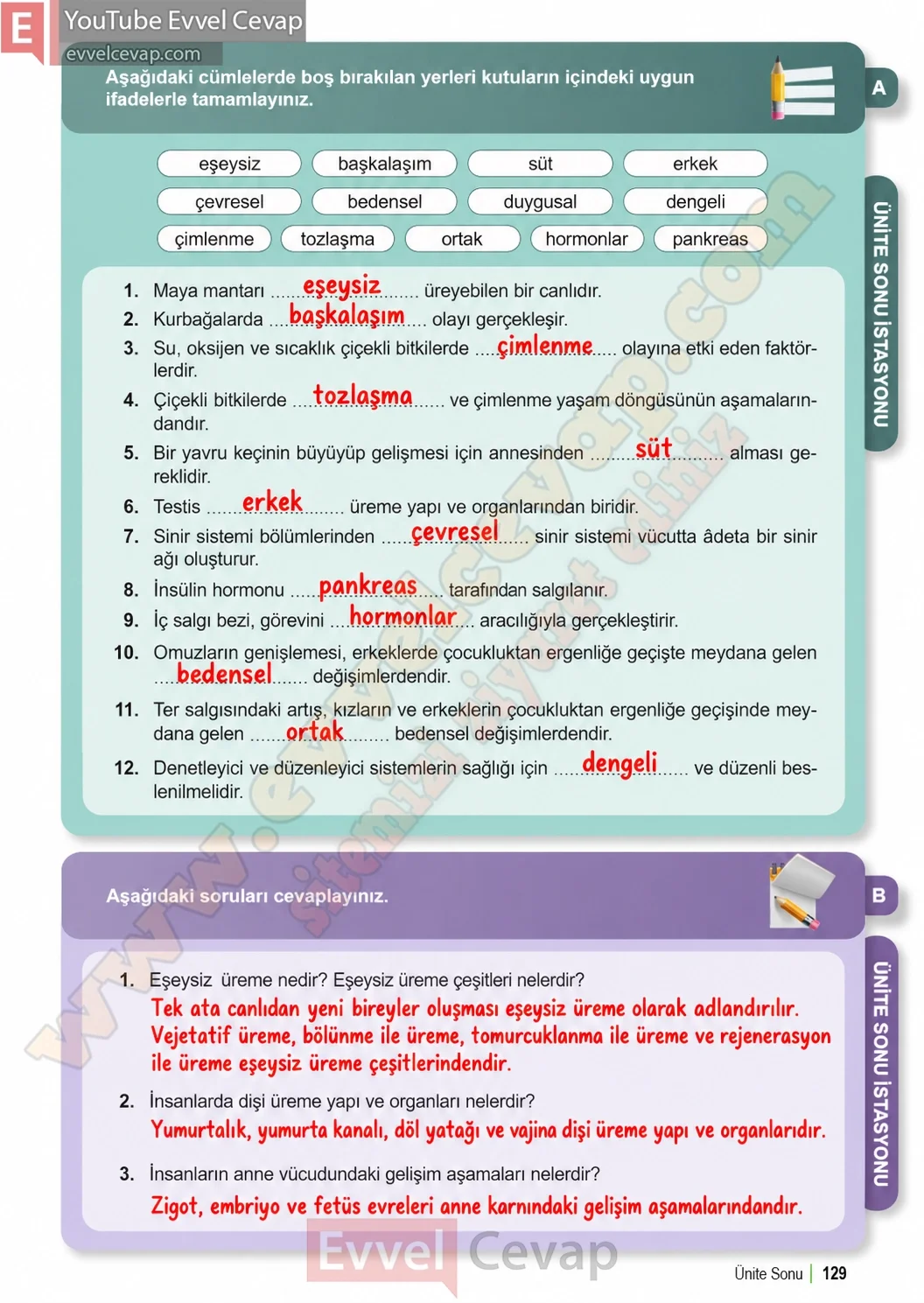 6-sinif-fen-bilimleri-ders-kitabi-sayfa-129-cevaplari-1-kitap-2026-2027