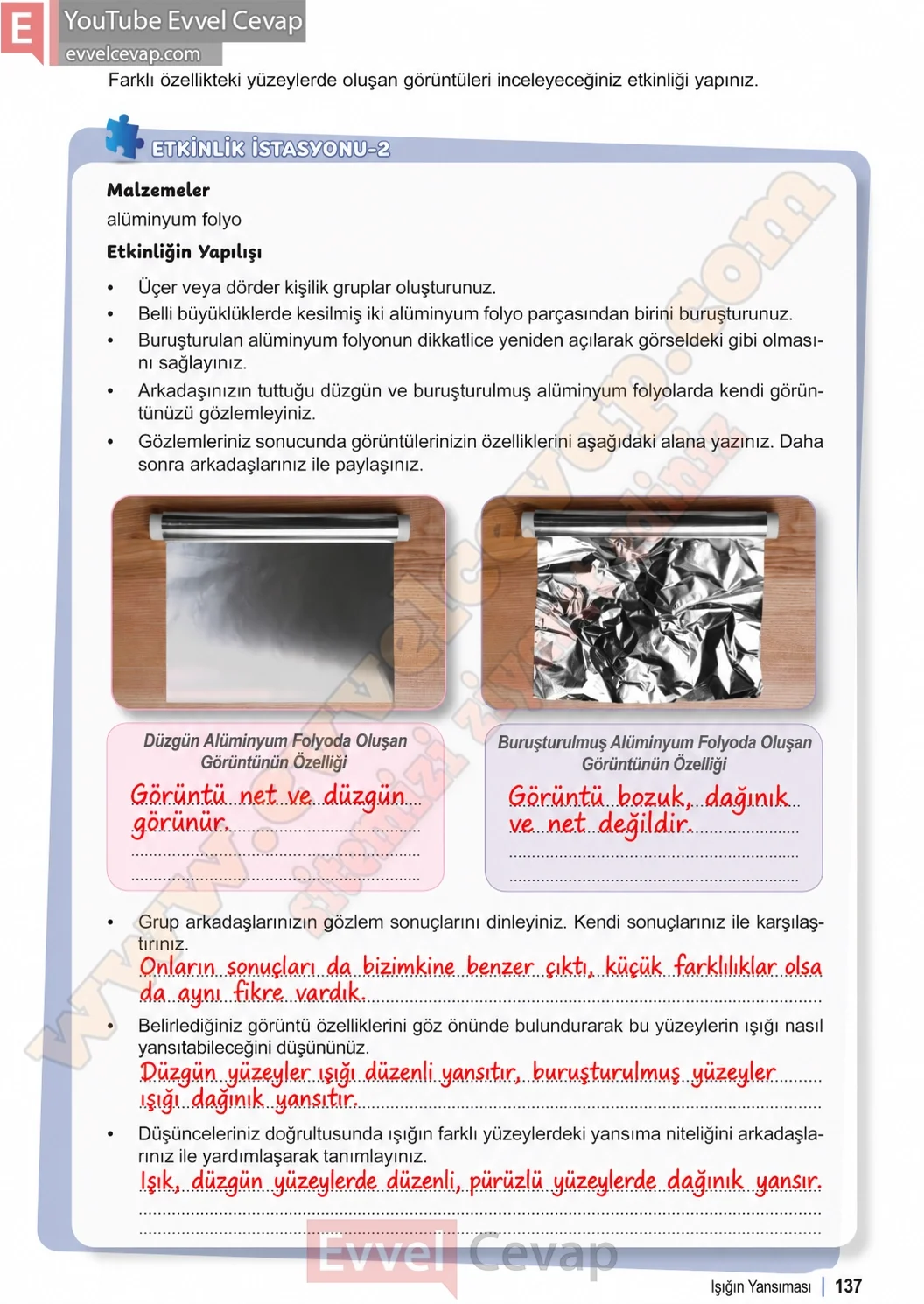 6-sinif-fen-bilimleri-ders-kitabi-sayfa-137-cevaplari-1-kitap-2026-2027