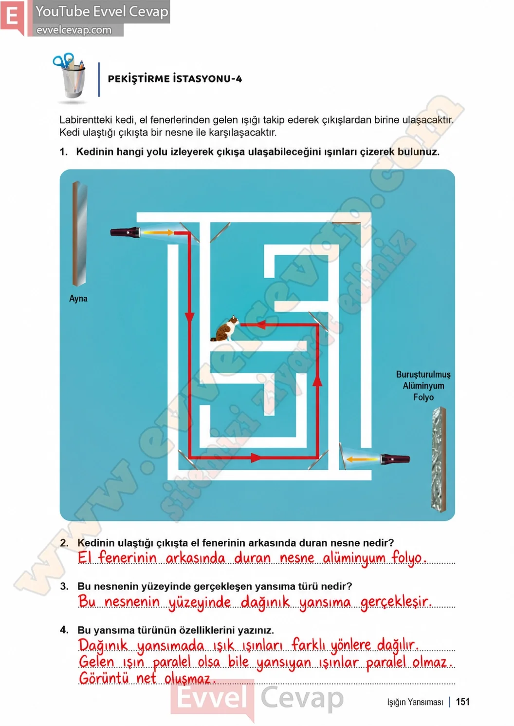 6-sinif-fen-bilimleri-ders-kitabi-sayfa-151-cevaplari-1-kitap-2026-2027