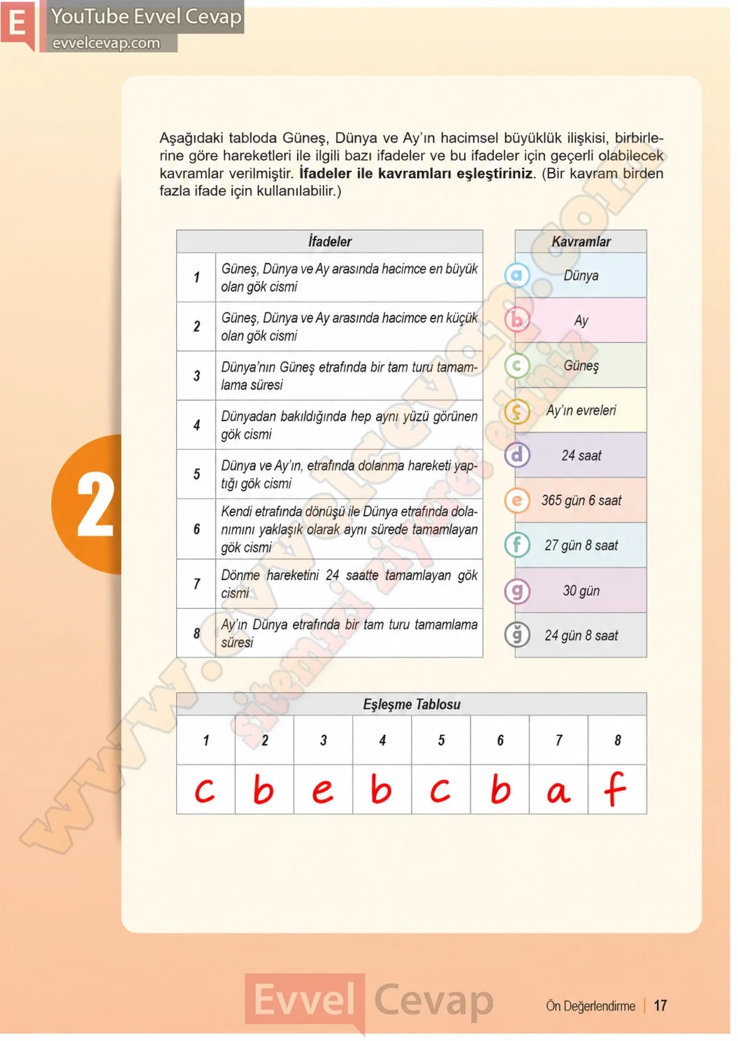 6-sinif-fen-bilimleri-ders-kitabi-sayfa-17-cevaplari-1-kitap-2026-2027