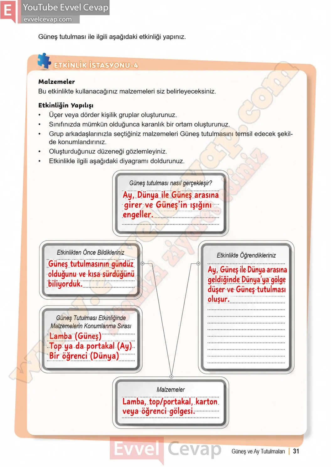6-sinif-fen-bilimleri-ders-kitabi-sayfa-31-cevaplari-1-kitap-2026-2027