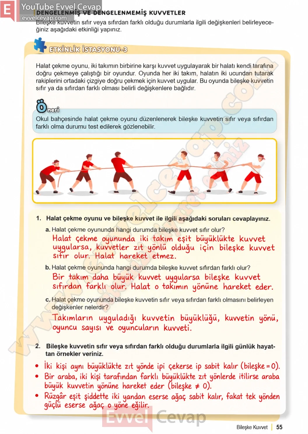 6-sinif-fen-bilimleri-ders-kitabi-sayfa-55-cevaplari-1-kitap-2026-2027