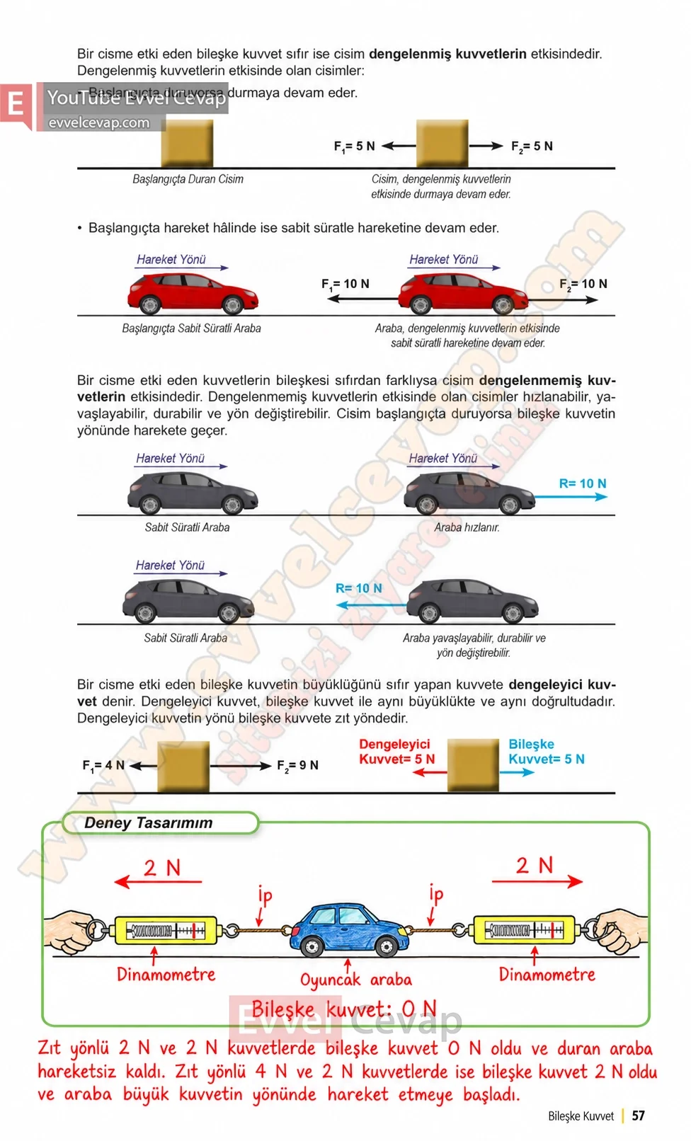 6-sinif-fen-bilimleri-ders-kitabi-sayfa-57-cevaplari-1-kitap-2026-2027