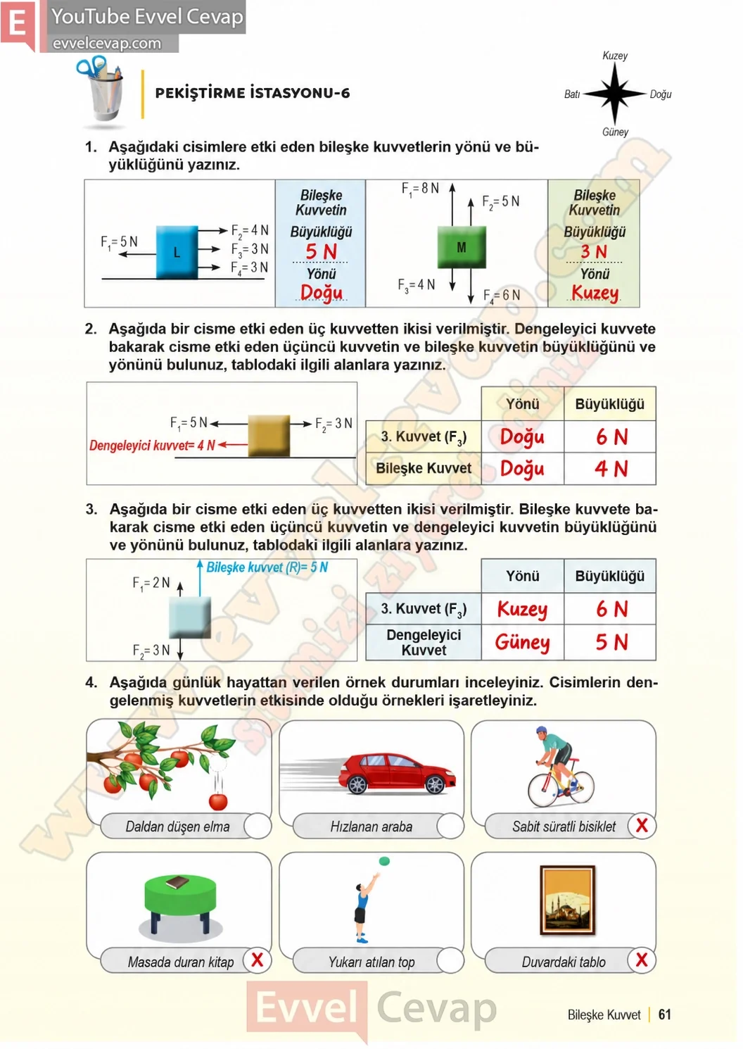 6-sinif-fen-bilimleri-ders-kitabi-sayfa-61-cevaplari-1-kitap-2026-2027