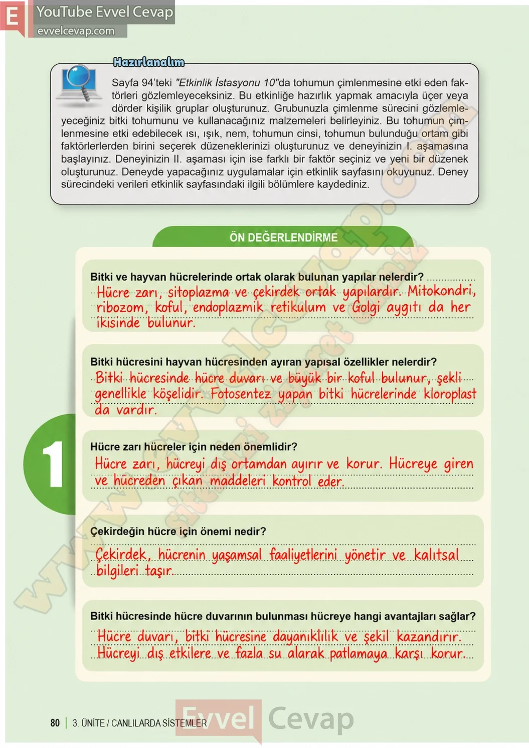 6-sinif-fen-bilimleri-ders-kitabi-sayfa-80-cevaplari-1-kitap-2026-2027