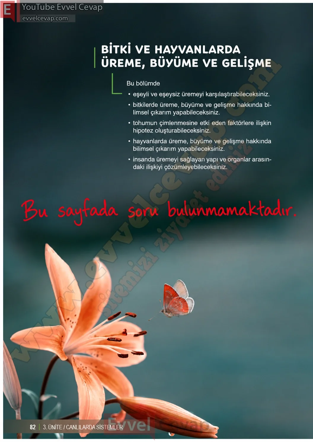 6-sinif-fen-bilimleri-ders-kitabi-sayfa-82-cevaplari-1-kitap-2026-2027