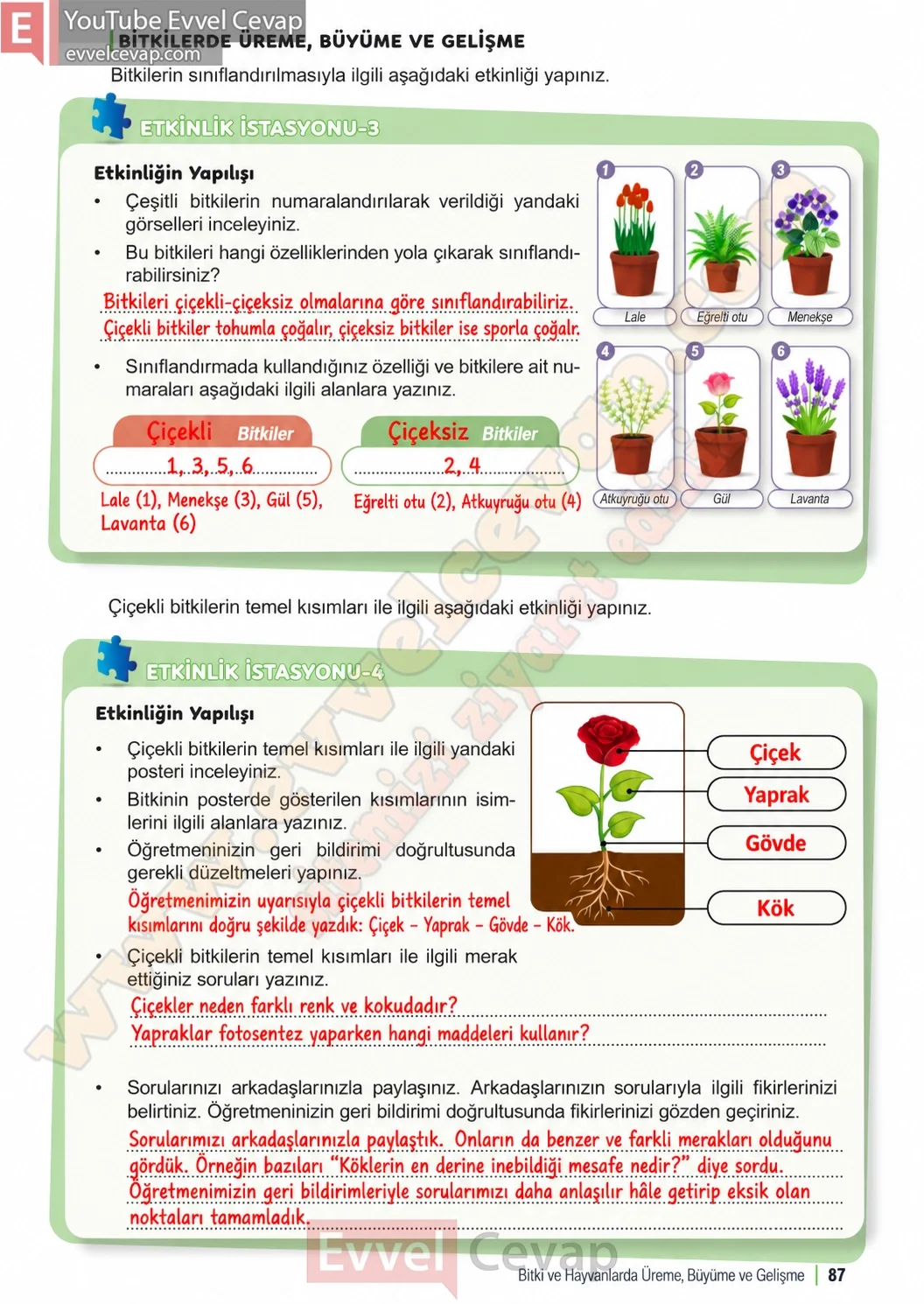 6-sinif-fen-bilimleri-ders-kitabi-sayfa-87-cevaplari-1-kitap-2026-2027