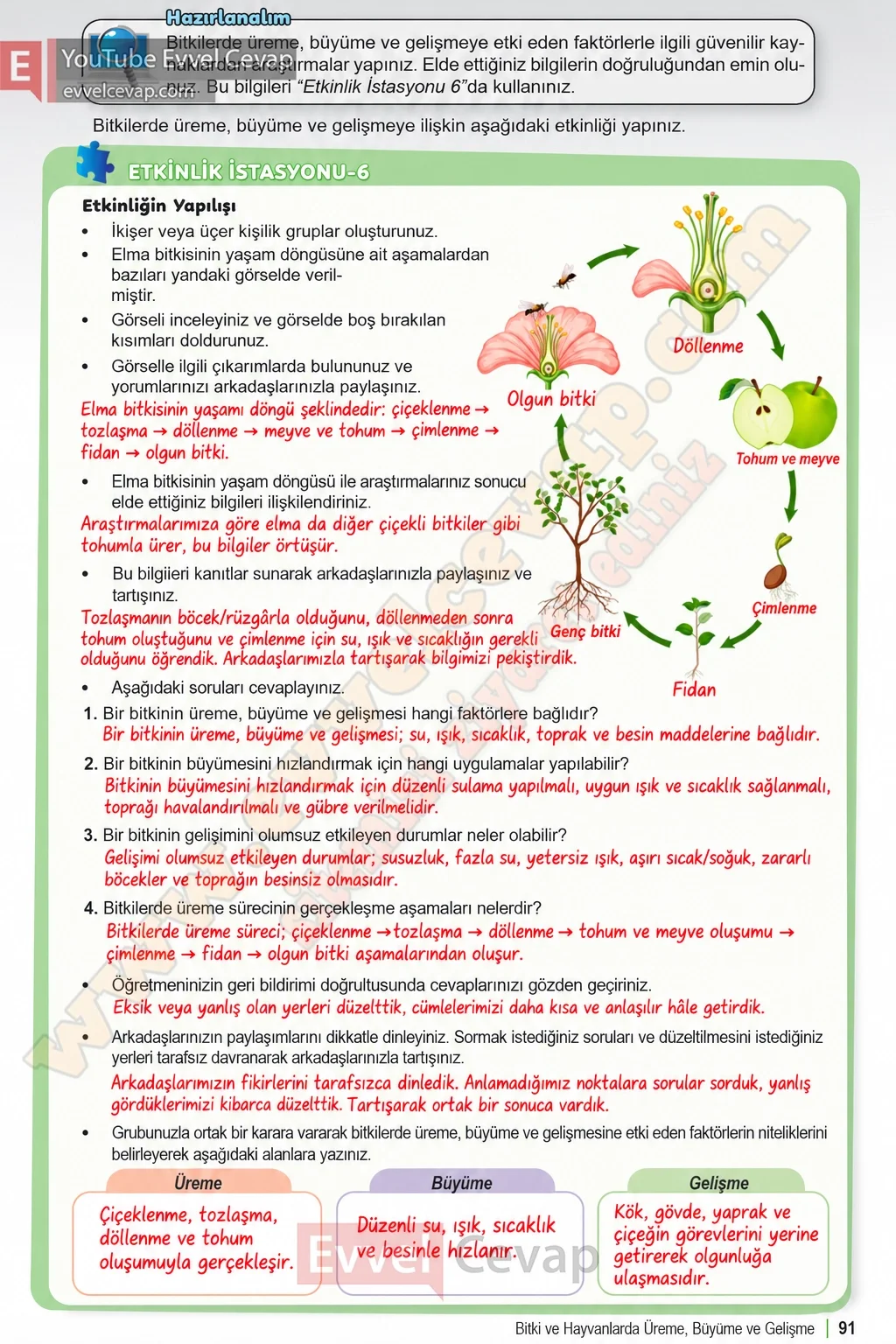 6-sinif-fen-bilimleri-ders-kitabi-sayfa-91-cevaplari-1-kitap-2026-2027