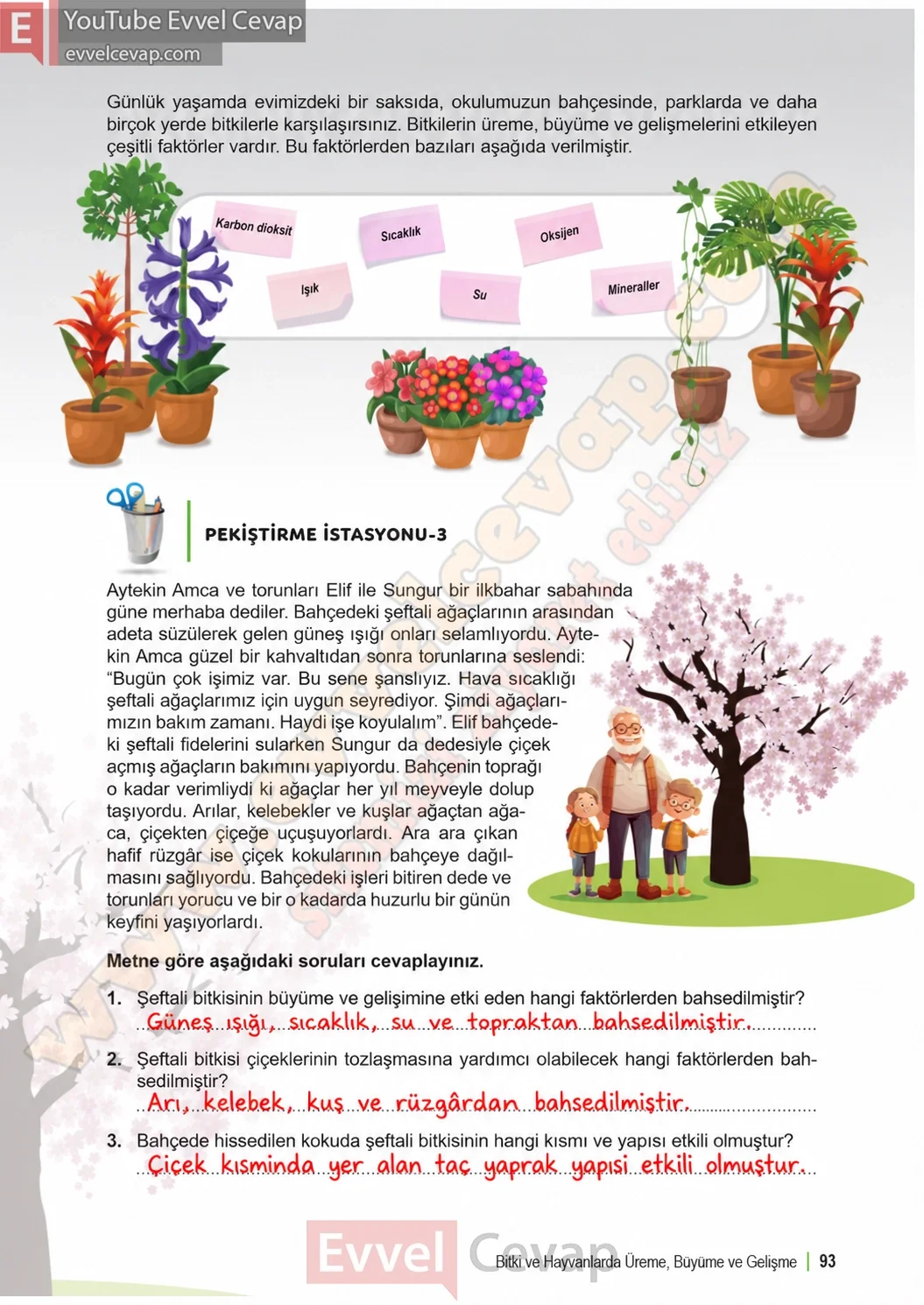 6-sinif-fen-bilimleri-ders-kitabi-sayfa-93-cevaplari-1-kitap-2026-2027