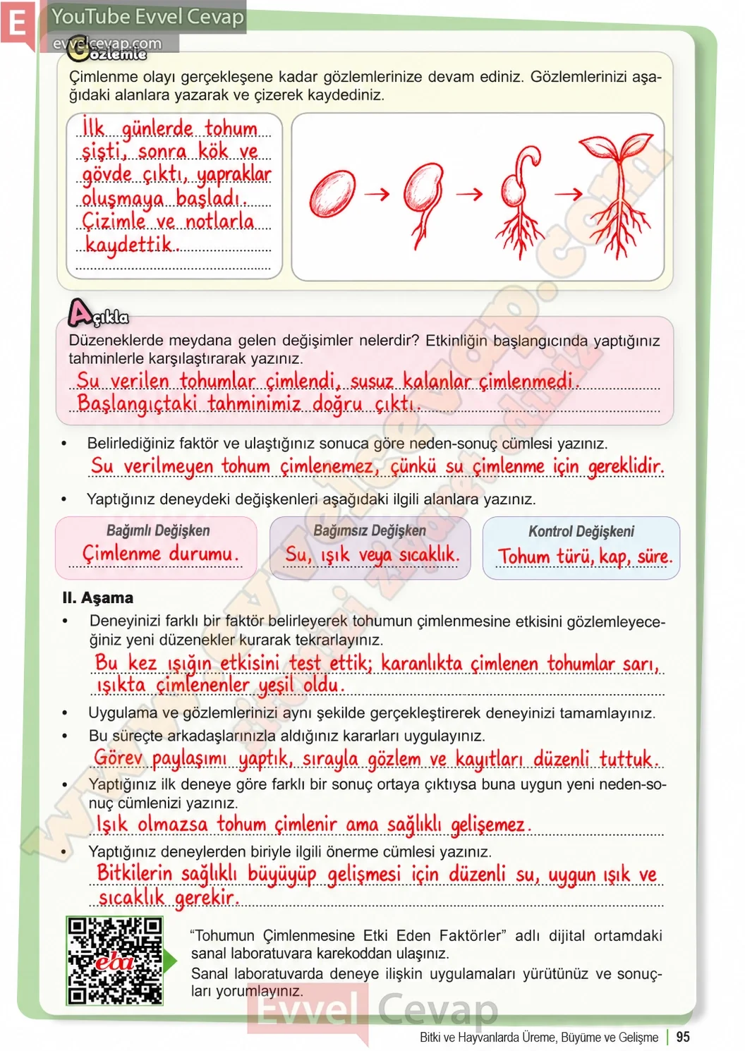 6-sinif-fen-bilimleri-ders-kitabi-sayfa-95-cevaplari-1-kitap-2026-2027