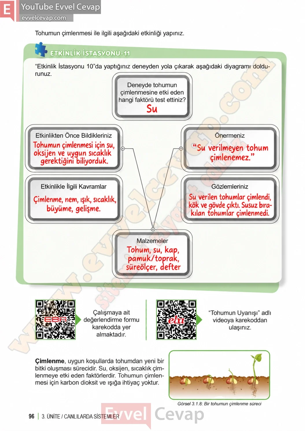 6-sinif-fen-bilimleri-ders-kitabi-sayfa-96-cevaplari-1-kitap-2026-2027