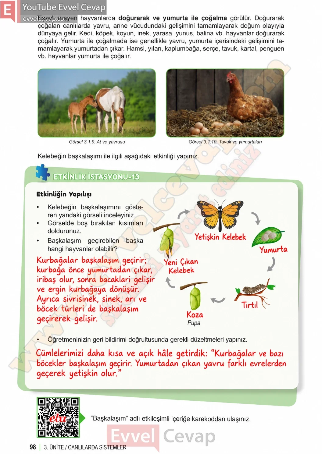 6-sinif-fen-bilimleri-ders-kitabi-sayfa-98-cevaplari-1-kitap-2026-2027