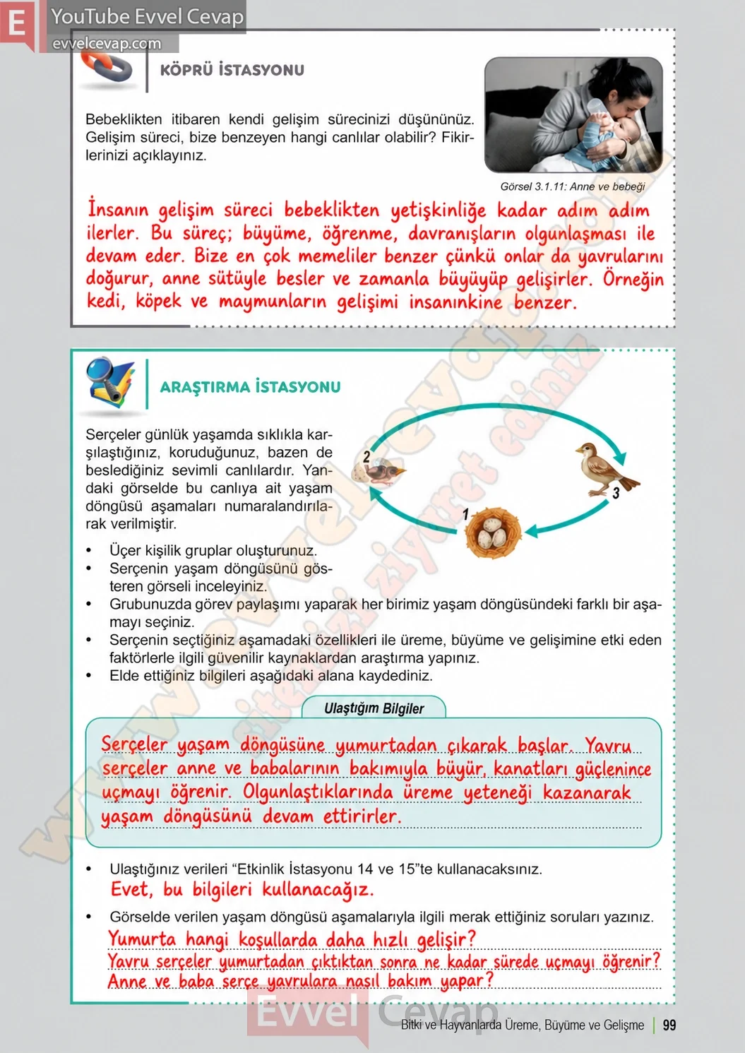 6-sinif-fen-bilimleri-ders-kitabi-sayfa-99-cevaplari-1-kitap-2026-2027
