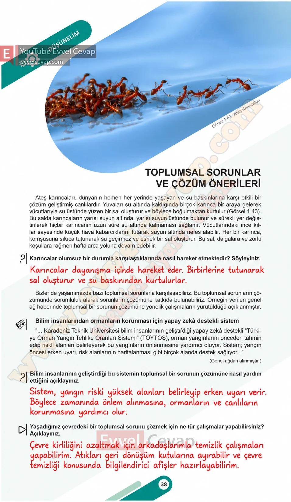 6-sinif-sosyal-bilgiler-ders-kitabi-sayfa-38-cevaplari-1-kitap-2026-2027