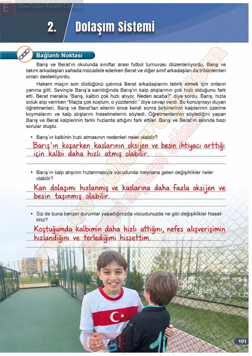 7-sinif-fen-bilimleri-ders-kitabi-cevaplari-meb-yayinlari-1-kitap-sayfa-101-2026-2027