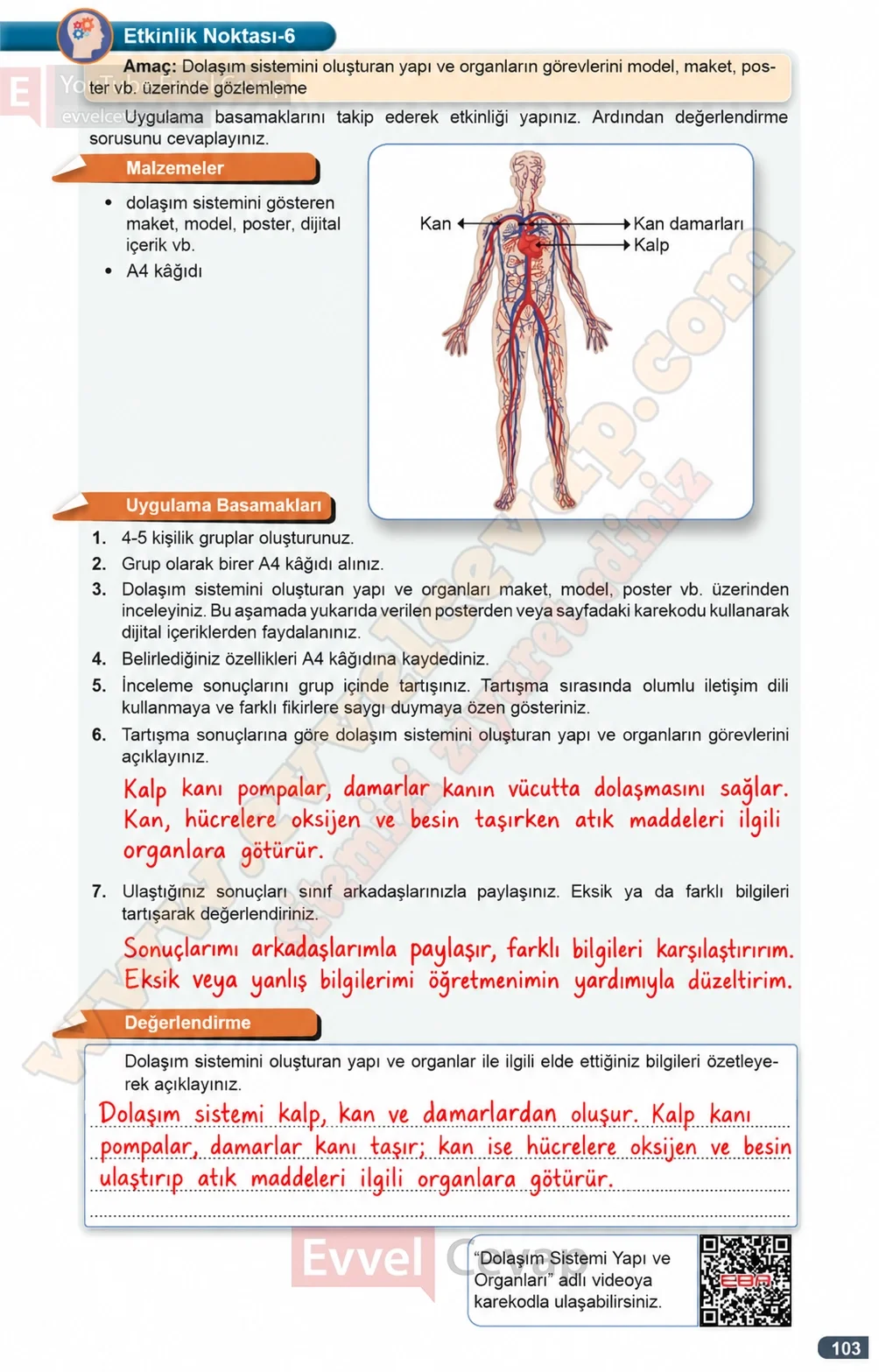 7-sinif-fen-bilimleri-ders-kitabi-cevaplari-meb-yayinlari-1-kitap-sayfa-103-2026-2027
