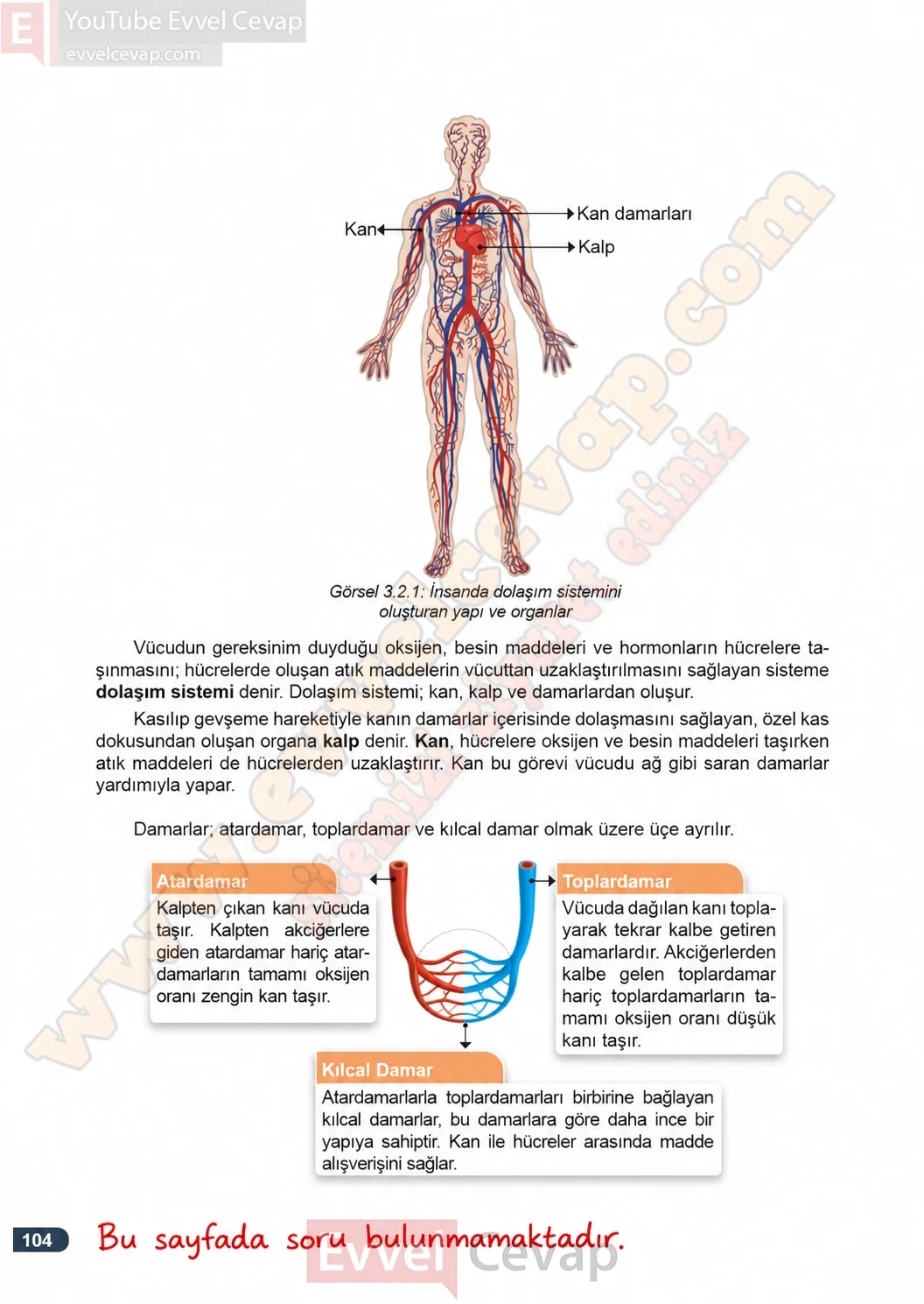 7-sinif-fen-bilimleri-ders-kitabi-cevaplari-meb-yayinlari-1-kitap-sayfa-104-2026-2027