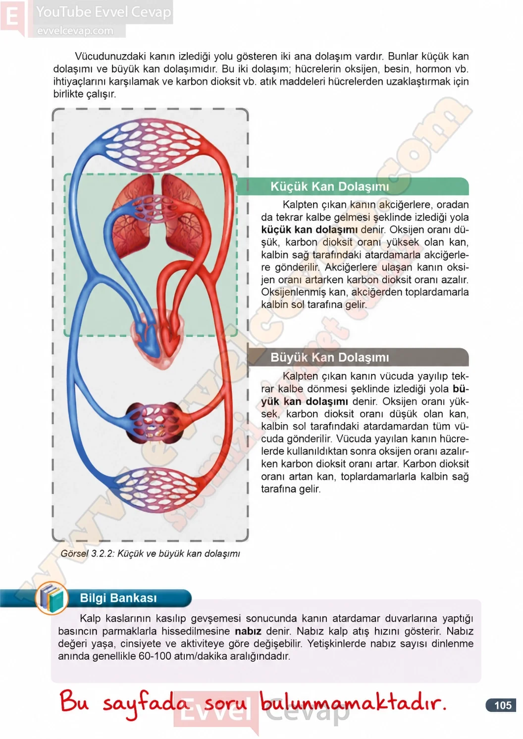 7-sinif-fen-bilimleri-ders-kitabi-cevaplari-meb-yayinlari-1-kitap-sayfa-105-2026-2027