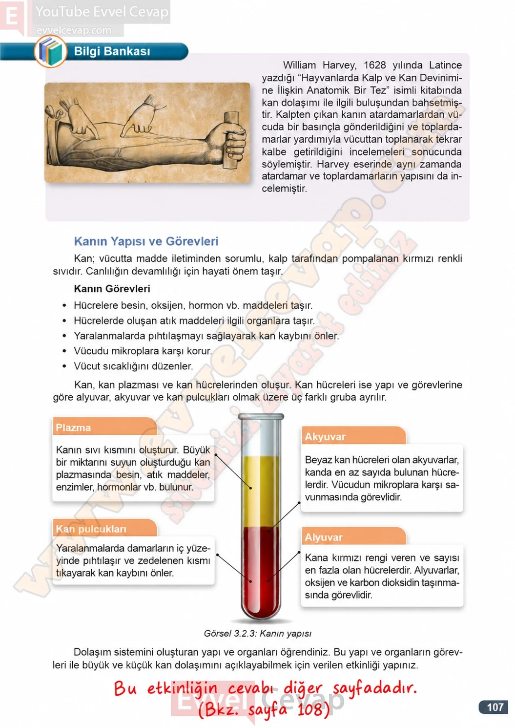 7-sinif-fen-bilimleri-ders-kitabi-cevaplari-meb-yayinlari-1-kitap-sayfa-107-2026-2027