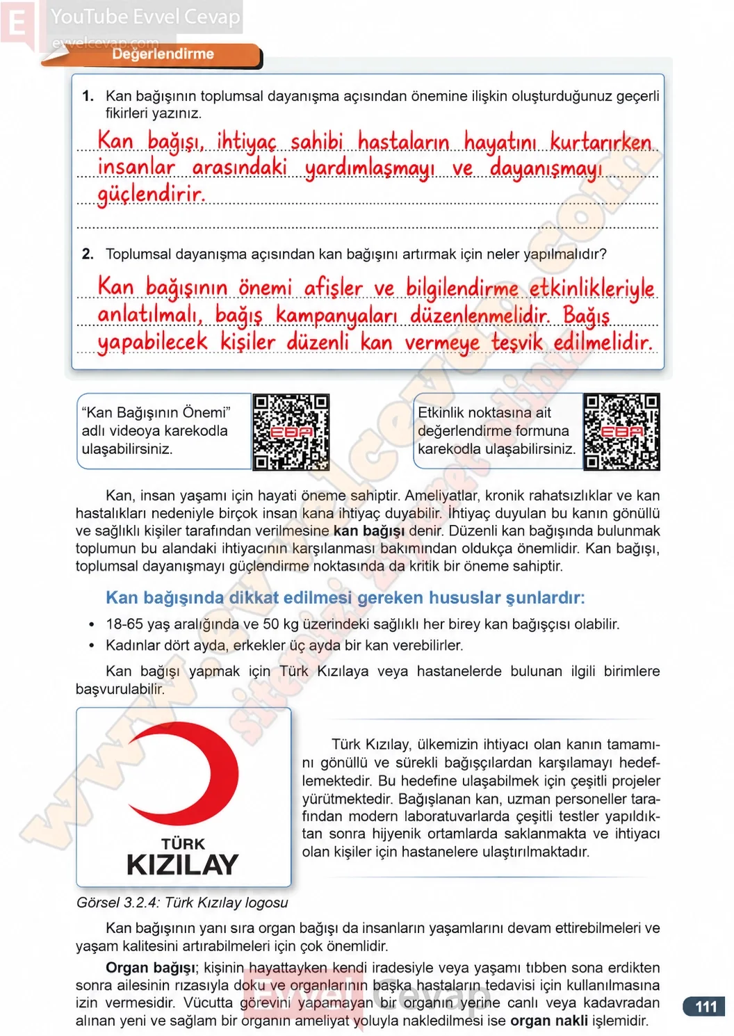 7-sinif-fen-bilimleri-ders-kitabi-cevaplari-meb-yayinlari-1-kitap-sayfa-111-2026-2027