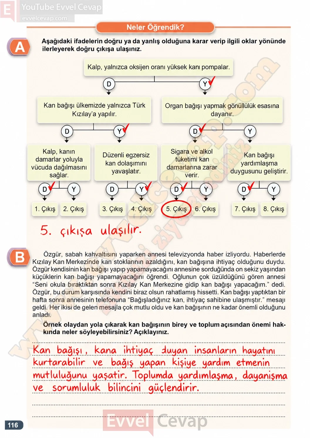 7-sinif-fen-bilimleri-ders-kitabi-cevaplari-meb-yayinlari-1-kitap-sayfa-116-2026-2027