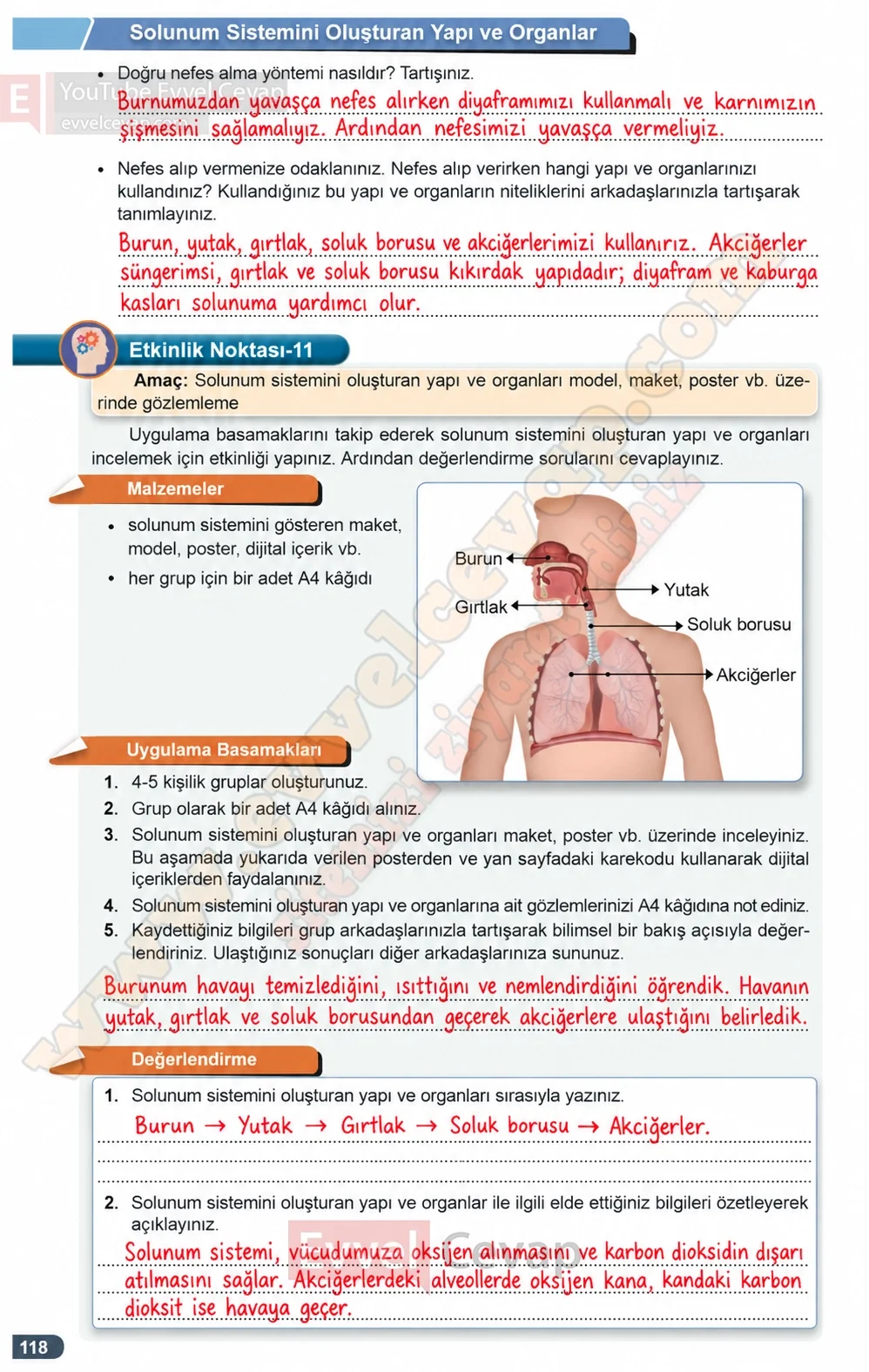 7-sinif-fen-bilimleri-ders-kitabi-cevaplari-meb-yayinlari-1-kitap-sayfa-118-2026-2027