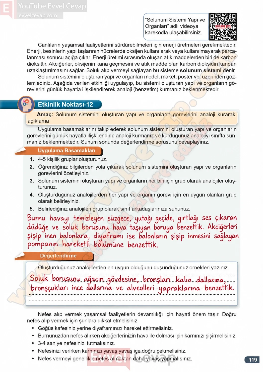 7-sinif-fen-bilimleri-ders-kitabi-cevaplari-meb-yayinlari-1-kitap-sayfa-119-2026-2027