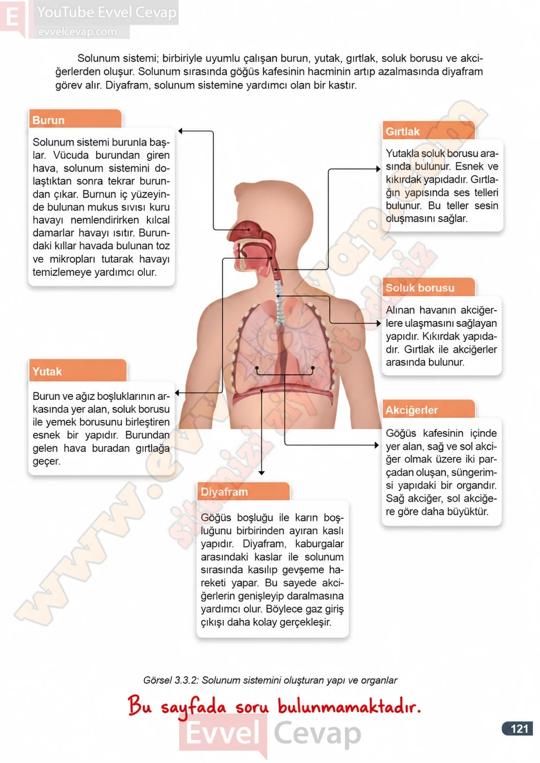 7-sinif-fen-bilimleri-ders-kitabi-cevaplari-meb-yayinlari-1-kitap-sayfa-121-2026-2027