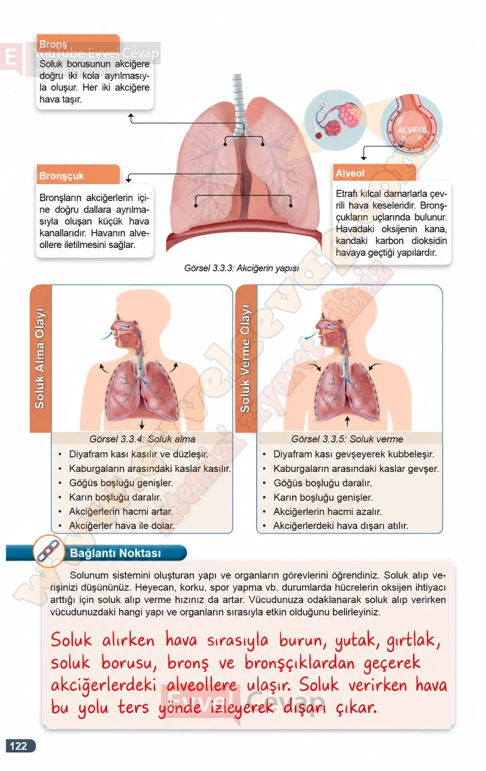 7-sinif-fen-bilimleri-ders-kitabi-cevaplari-meb-yayinlari-1-kitap-sayfa-122-2026-2027