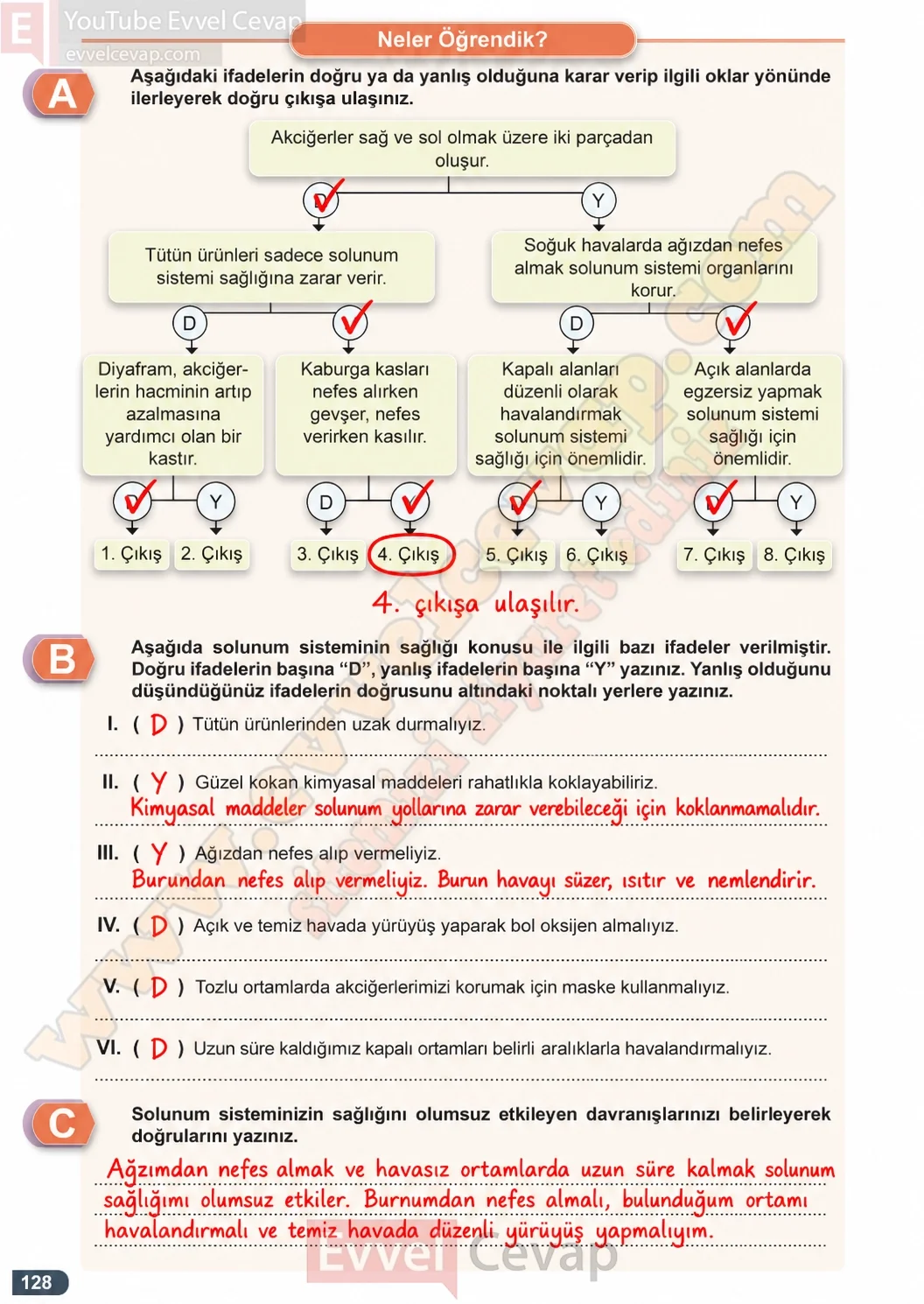 7-sinif-fen-bilimleri-ders-kitabi-cevaplari-meb-yayinlari-1-kitap-sayfa-128-2026-2027