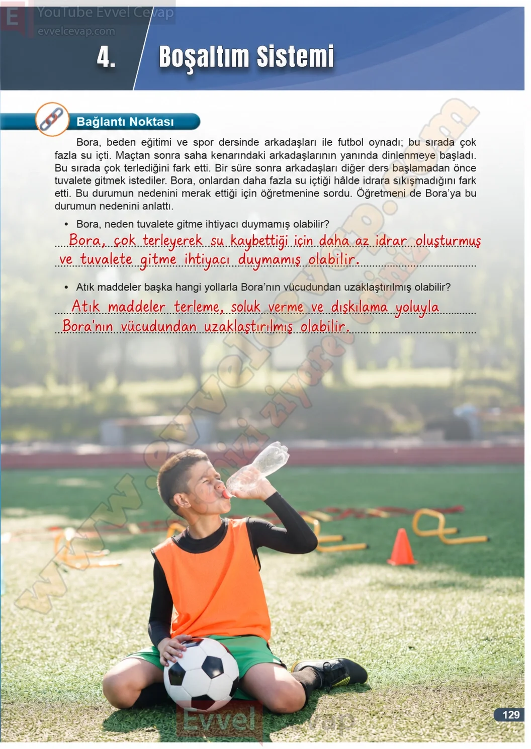 7-sinif-fen-bilimleri-ders-kitabi-cevaplari-meb-yayinlari-1-kitap-sayfa-129-2026-2027