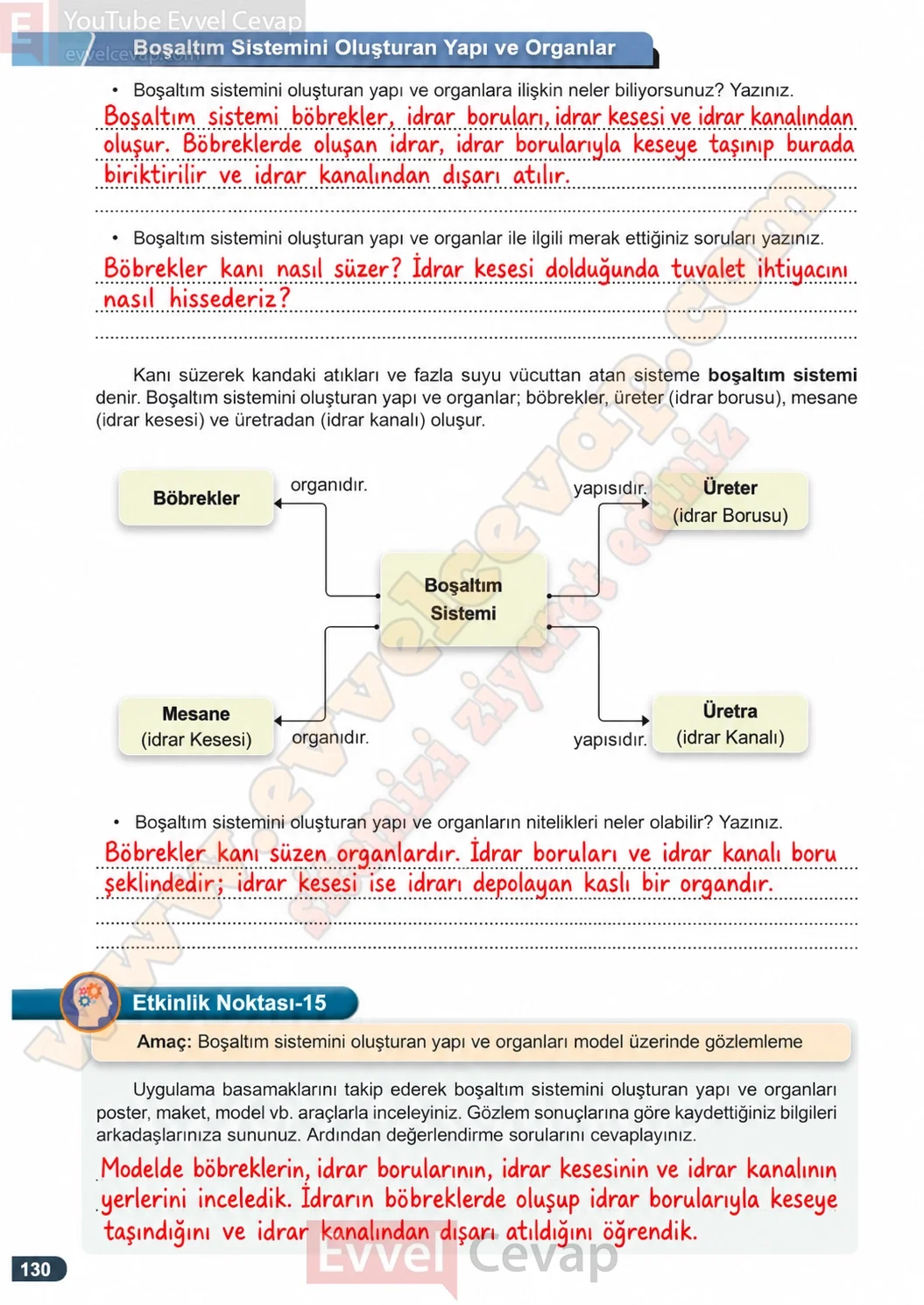 7-sinif-fen-bilimleri-ders-kitabi-cevaplari-meb-yayinlari-1-kitap-sayfa-130-2026-2027