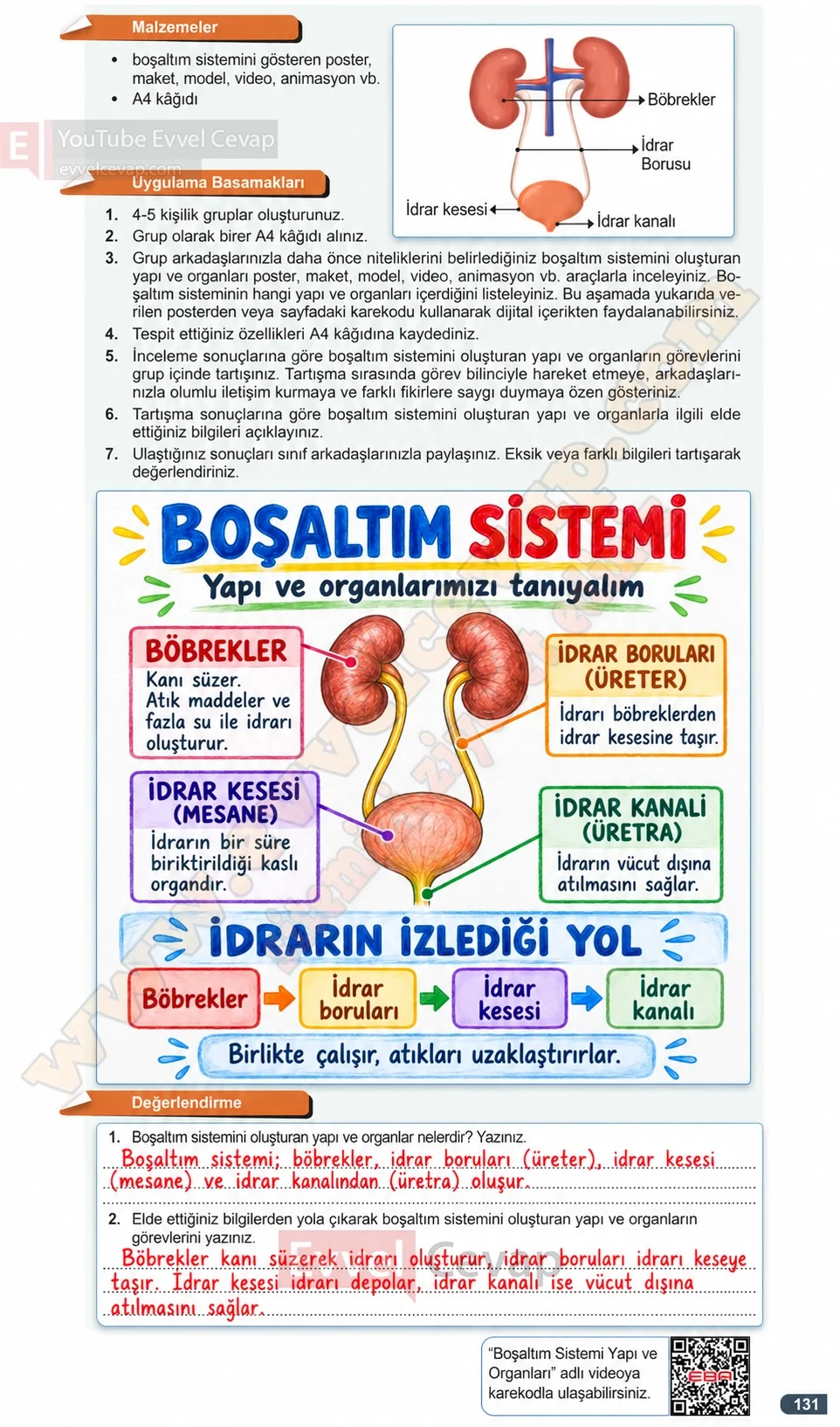 7-sinif-fen-bilimleri-ders-kitabi-cevaplari-meb-yayinlari-1-kitap-sayfa-131-2026-2027
