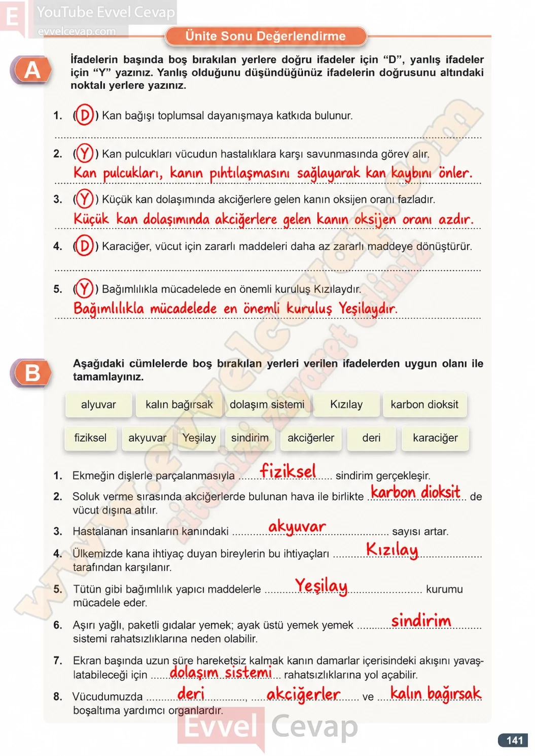 7-sinif-fen-bilimleri-ders-kitabi-cevaplari-meb-yayinlari-1-kitap-sayfa-141-2026-2027