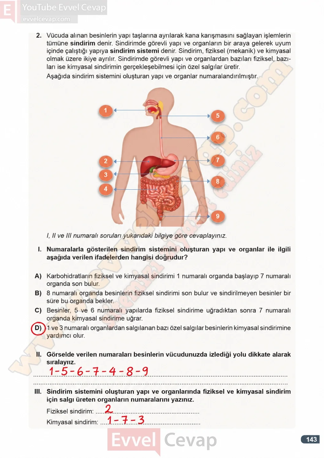 7-sinif-fen-bilimleri-ders-kitabi-cevaplari-meb-yayinlari-1-kitap-sayfa-143-2026-2027