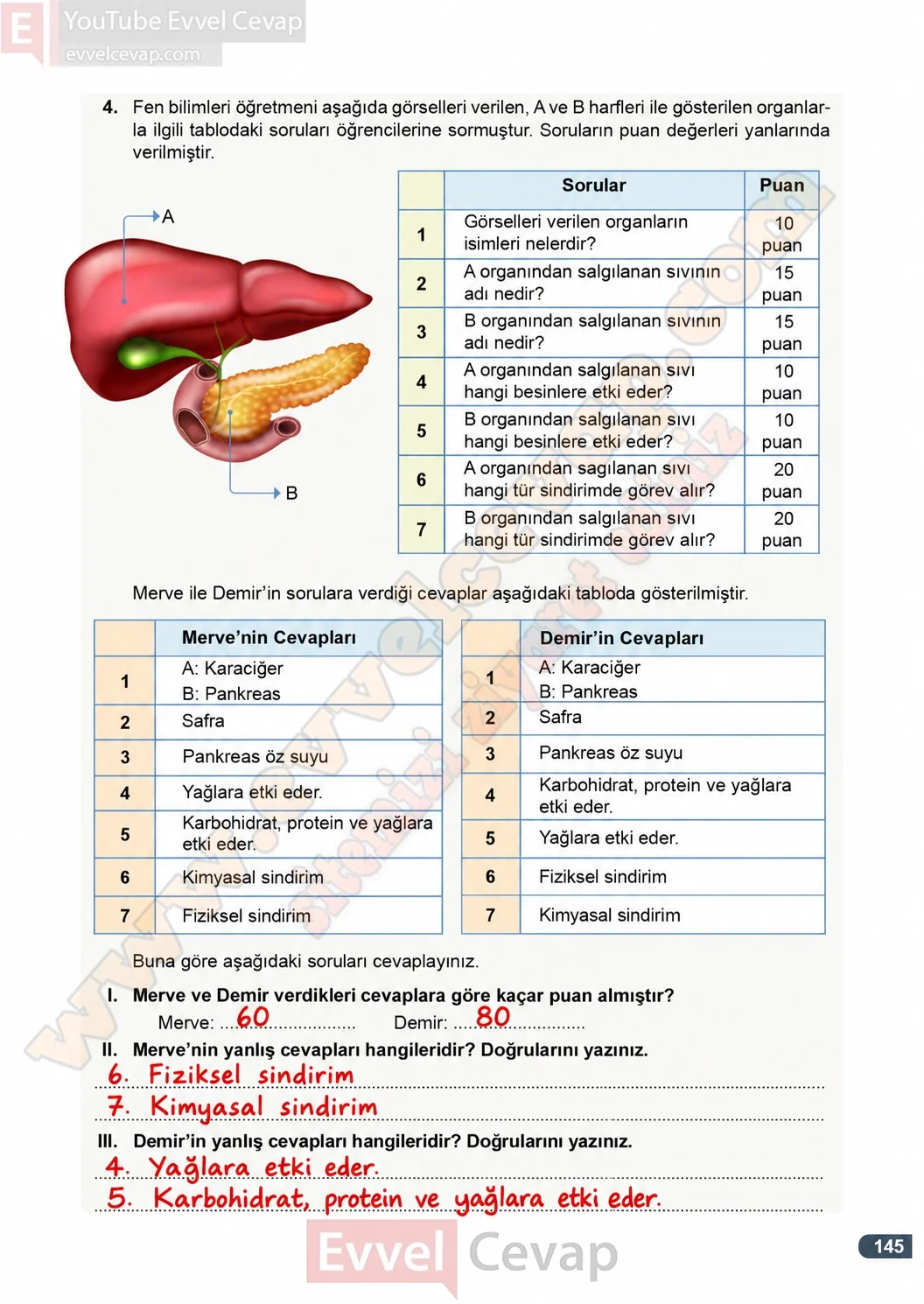 7-sinif-fen-bilimleri-ders-kitabi-cevaplari-meb-yayinlari-1-kitap-sayfa-145-2026-2027