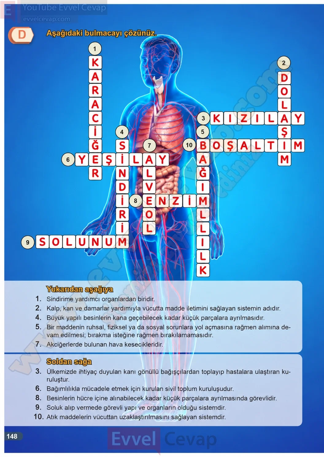 7-sinif-fen-bilimleri-ders-kitabi-cevaplari-meb-yayinlari-1-kitap-sayfa-148-2026-2027