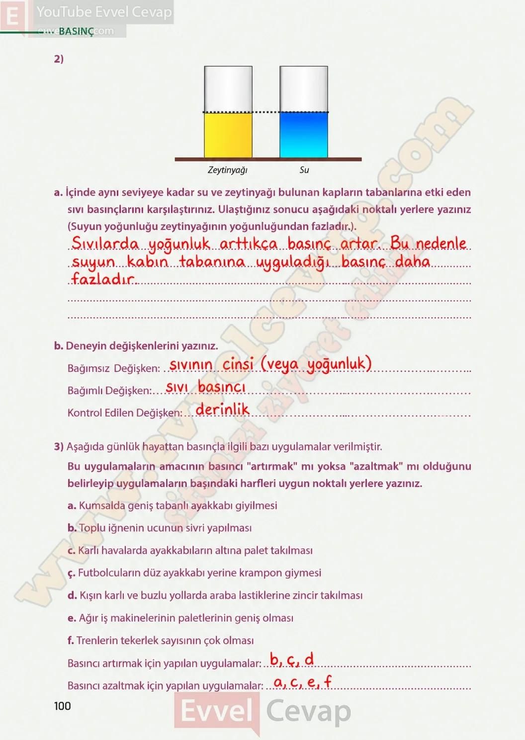 8-sinif-fen-bilimleri-ders-kitabi-sayfa-100-cevaplari-meb-yayinlari-2026-2027